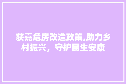 获嘉危房改造政策,助力乡村振兴，守护民生安康