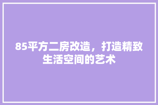 85平方二房改造，打造精致生活空间的艺术 家居设计