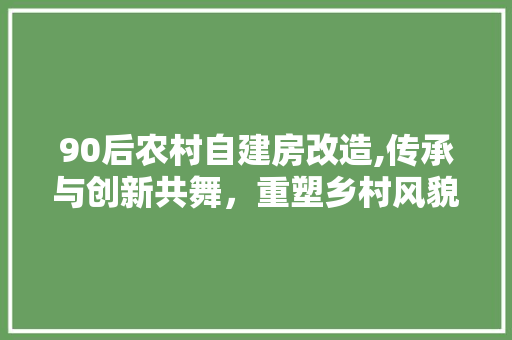90后农村自建房改造,传承与创新共舞，重塑乡村风貌