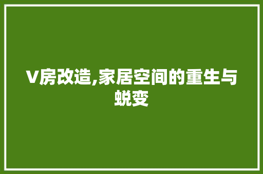 V房改造,家居空间的重生与蜕变 家居设计