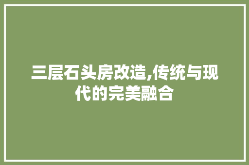 三层石头房改造,传统与现代的完美融合，三层石头房子改造图片欣赏。