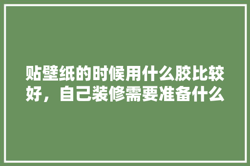 贴壁纸的时候用什么胶比较好，自己装修需要准备什么胶水。 贴壁纸的时候用什么胶比较好，自己装修需要准备什么胶水。 家居装饰