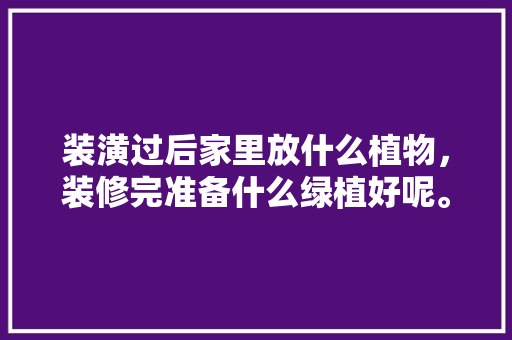 装潢过后家里放什么植物，装修完准备什么绿植好呢。 装潢过后家里放什么植物，装修完准备什么绿植好呢。 家居装饰