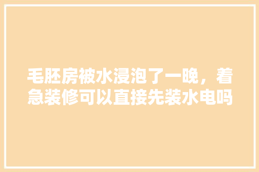 毛胚房被水浸泡了一晚，着急装修可以直接先装水电吗，水店装修前应准备什么东西。 毛胚房被水浸泡了一晚，着急装修可以直接先装水电吗，水店装修前应准备什么东西。 装修知识