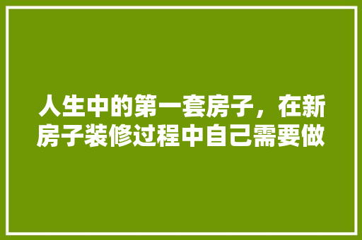 人生中的第一套房子，在新房子装修过程中自己需要做什么，装修刚开始准备什么东西好。 人生中的第一套房子，在新房子装修过程中自己需要做什么，装修刚开始准备什么东西好。 二手房