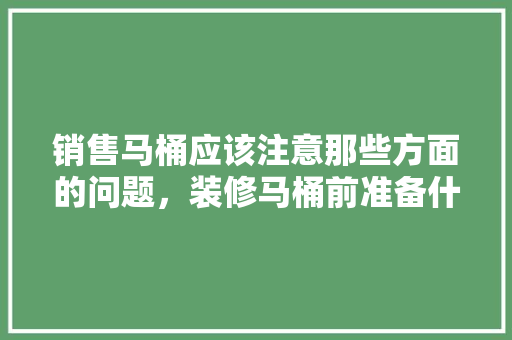 销售马桶应该注意那些方面的问题，装修马桶前准备什么东西好。 销售马桶应该注意那些方面的问题，装修马桶前准备什么东西好。 二手房