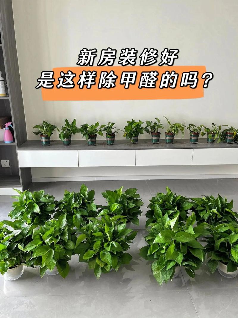 新小区装修,零散装修的兴起及其影响 家居装饰 新小区装修,零散装修的兴起及其影响 新小区装修,零散装修的兴起及其影响 家居装饰