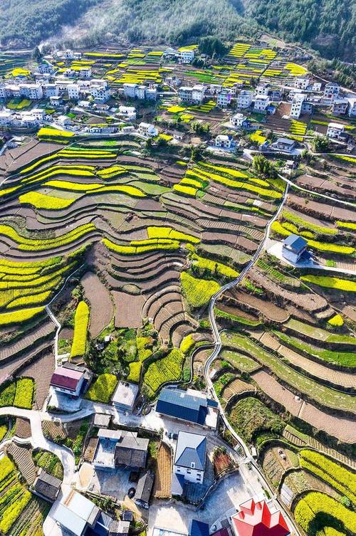 曲阳田园,回归自然,打造绿色家园 买房须知 曲阳田园,回归自然,打造绿色家园 曲阳田园,回归自然,打造绿色家园 买房须知